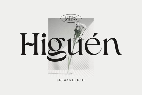 Higuen Serif Font for Modern Branding