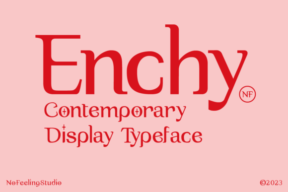 How Enchy Transformed My Brand's Visual Identity
