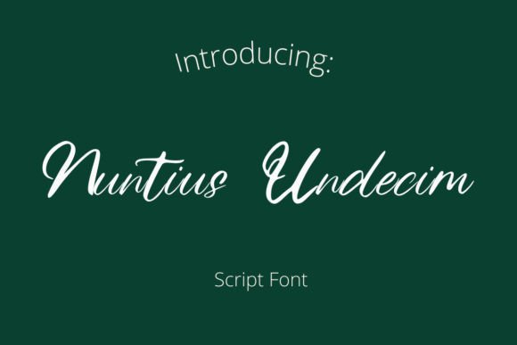 Nuntius Undecim: A Nostalgic Script Font for Vintage Branding